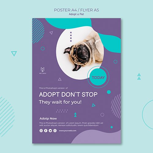 Adopt a pet concept square poster style