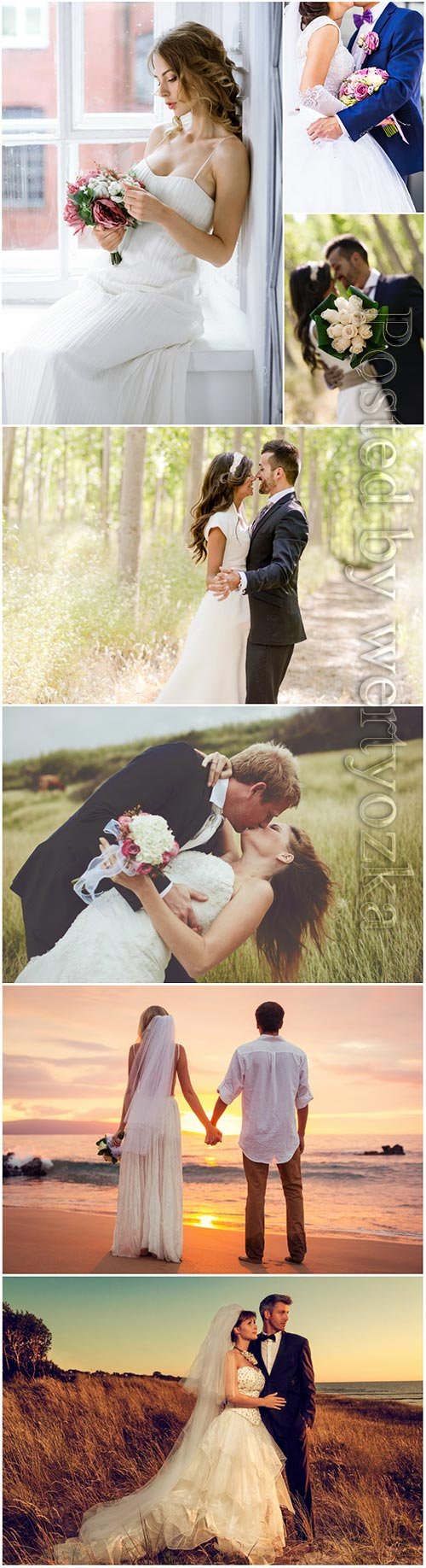 Wedding, couples in love, bride and groom stock photo