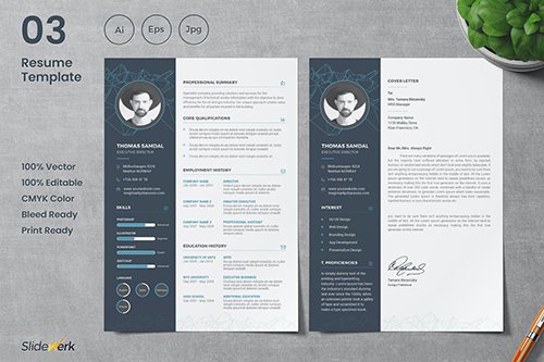 Professional CV Resume Template 03 - Slidewerk