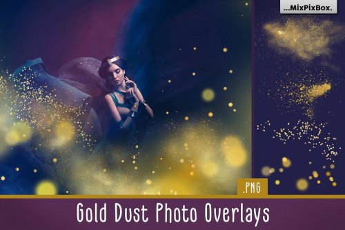 Gold Dust Photo Overlays 5013321