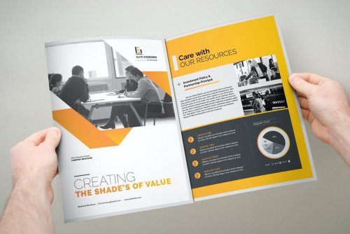 Trifold Brochure 5010509