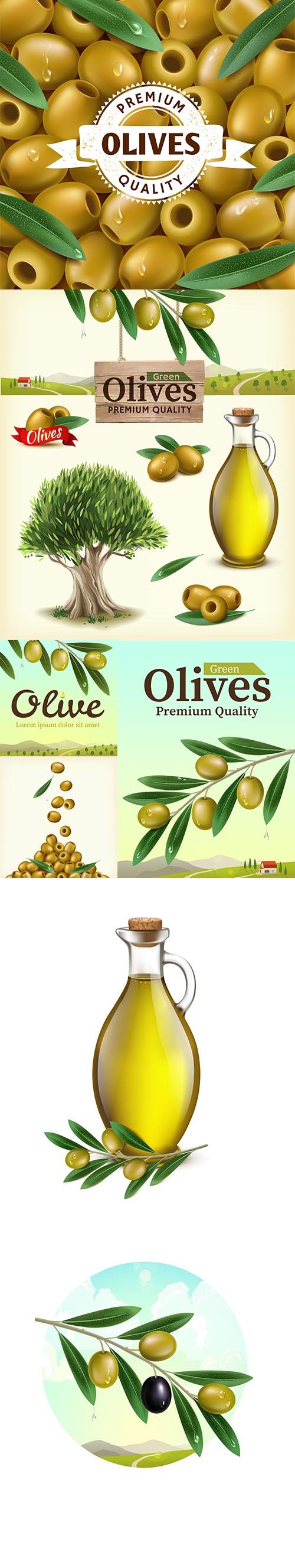 Realistic illustration of fruit olive plantations