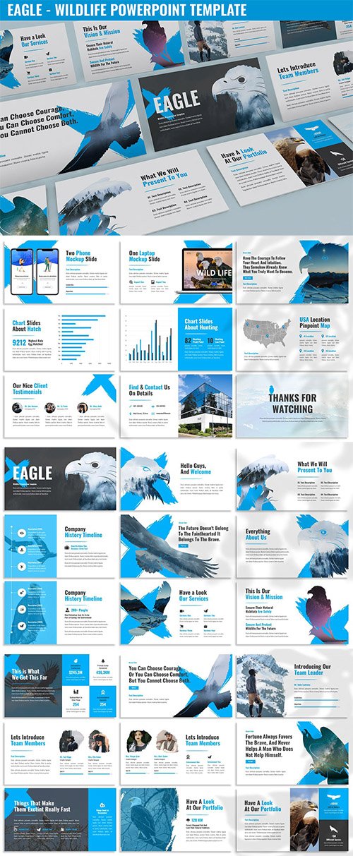 Eagle - Wildlife Powerpoint Template