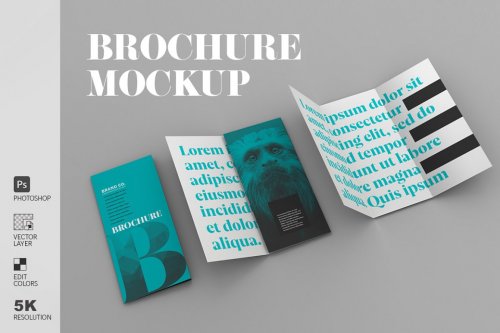 Trifold Brochure Mockup 4579621