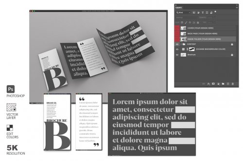 Trifold Brochure Mockup 4579621