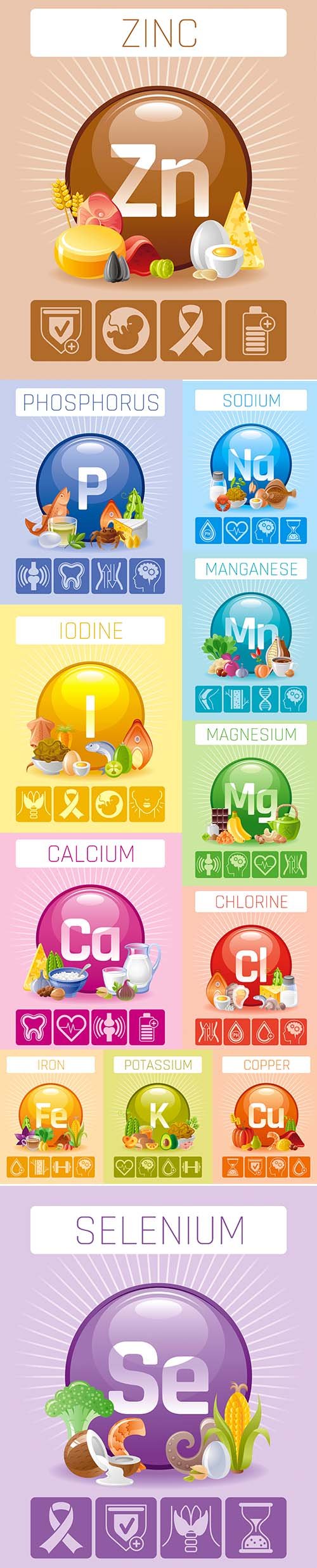 Mineral and Vitamin Supplement Illustrations Vector