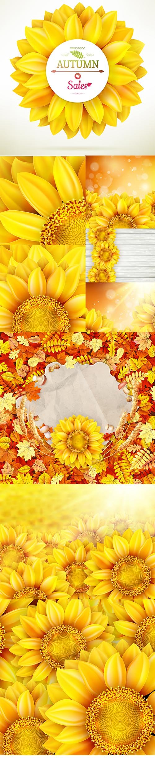 Sunflower High Quality Illustration