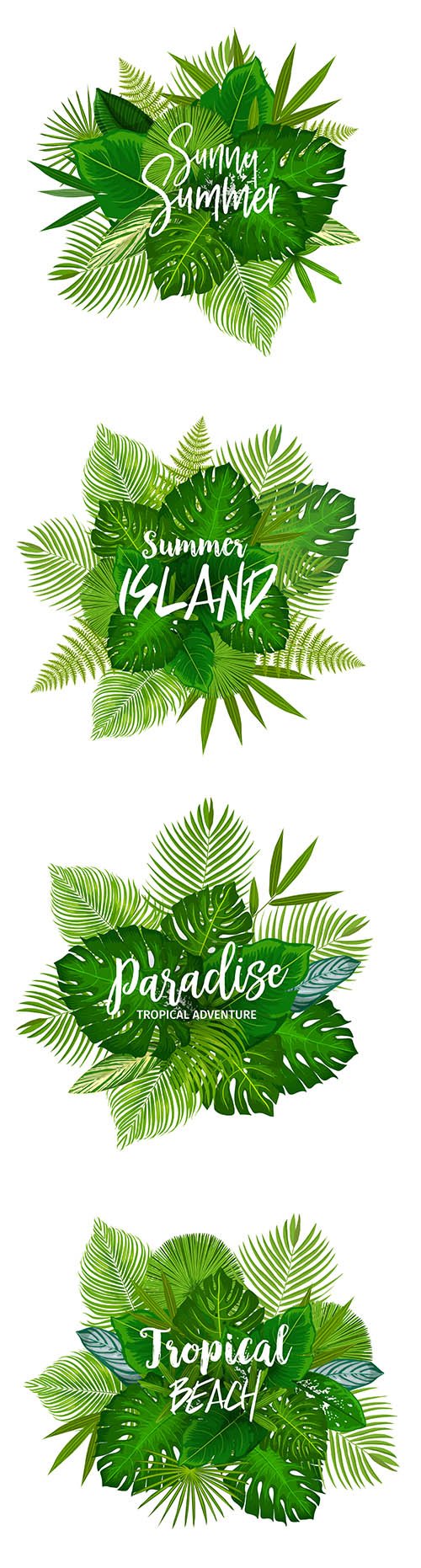 Summer Tropical Palm Exotic Tree Leaves