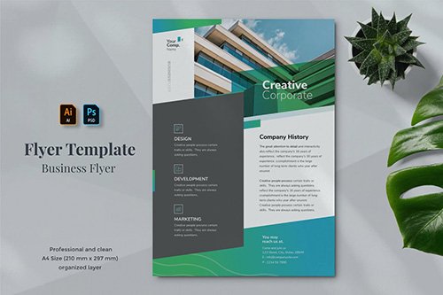 Business Flyer Template 20