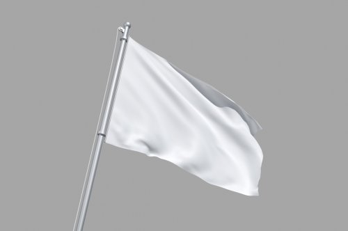 Realistic Flag Mockup 4654986