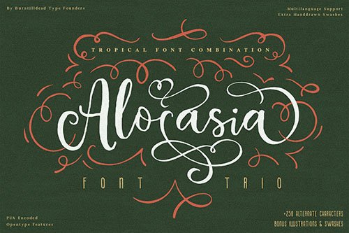 Alocasia-Trio Font Combination