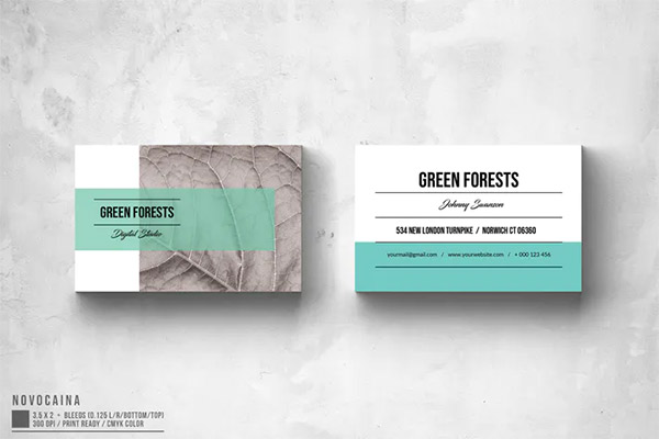 Eco App Business Card Design