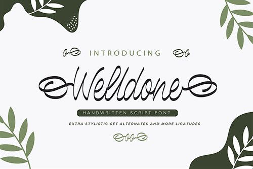 Welldone | Handwritten Script Font
