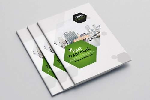 Business Portfolio Brochure 16 Pages 5059809