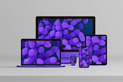 Device Scene Creator Bundle Phone 4697609