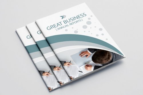 Business Annual Report 16 Pages 5054960