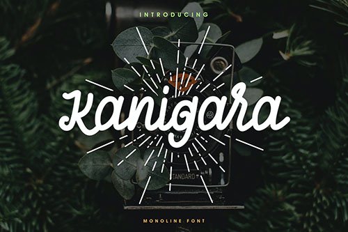 Kanigara - Monoline Font