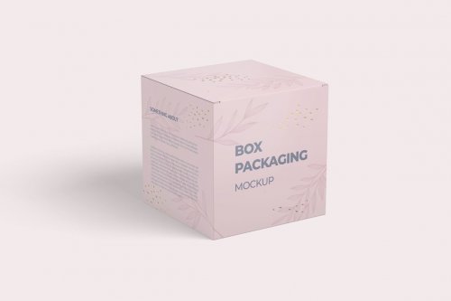 Box Packaging Mockup 5270881