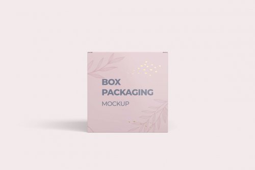 Box Packaging Mockup 5270881