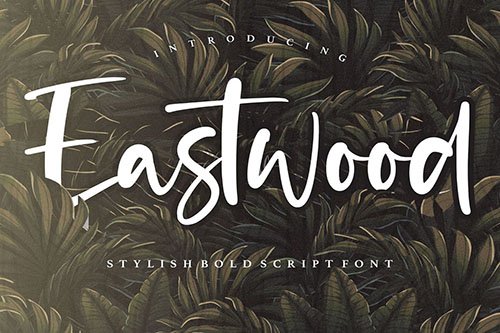 Eastwood YH - Bold Script Font