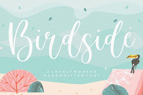 Birdside YH - Wedding Script Font