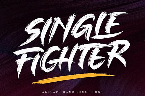 Single Fighter