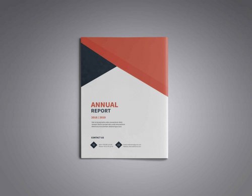 Corporate Annual Report 4585424