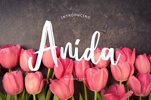Anida Brush Script Font