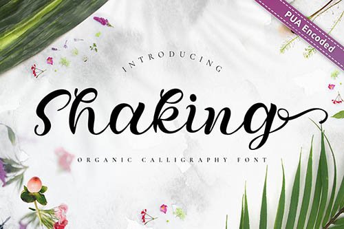 Shaking - Organic Calligraphy Font