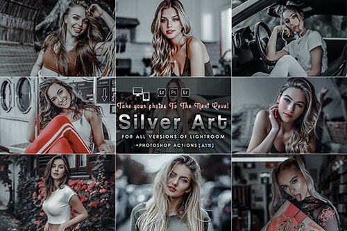 Silver Mood (Actions and Presets)