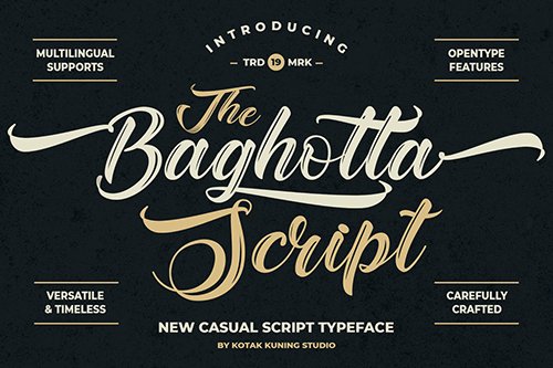 The Baghotta Casual Script Font