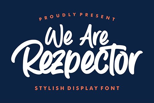 Rezpector | Stylish Display Font