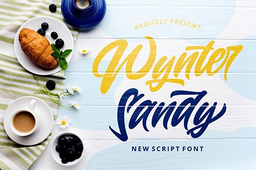 Wynter Sandy - Bold Script Font
