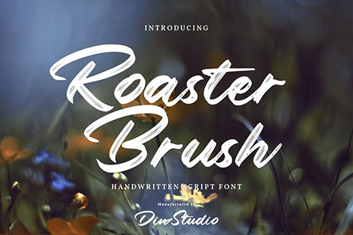 Roaster Brush - Elegant Handwritten Font