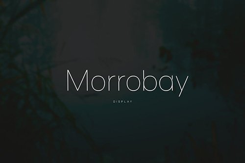 Morrobay Unique Typeface with Web-fonts