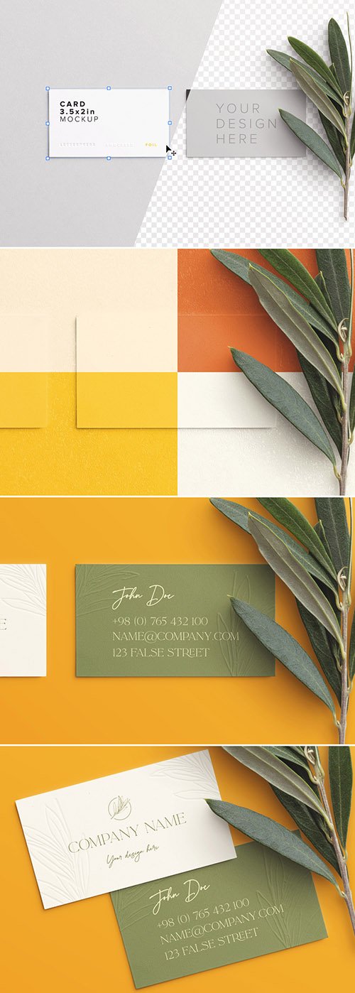Business Cards with Olive Branch Mockup