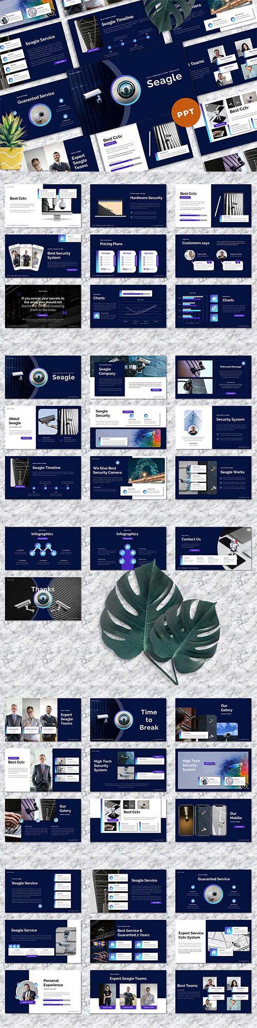 Seagle - CCTV Powerpoint Templates