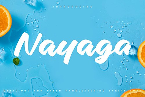 Nayaga | Handlettering Script Font