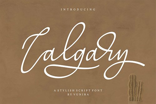 Calgary | A Stylish Script Font