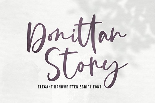 Donittan Story - Modern Signature Font
