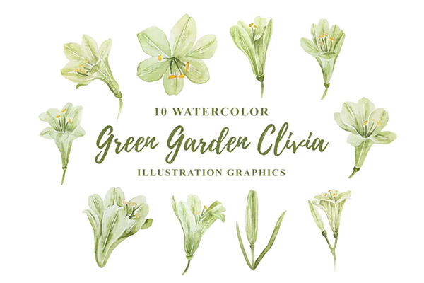 10 Watercolor Green Garden Clivia Illustration