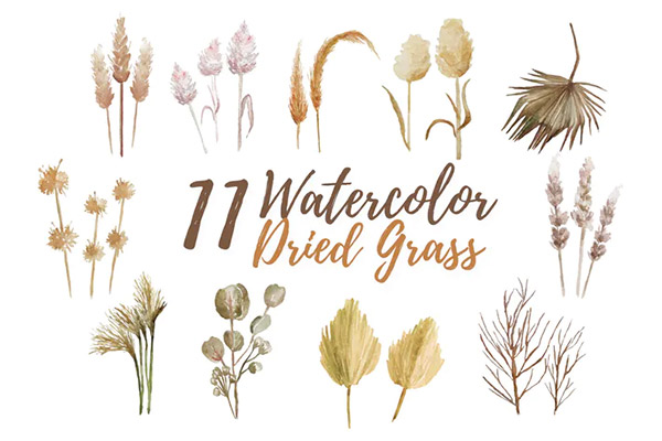 11 Watercolor Dried Grass Illustration Graphics