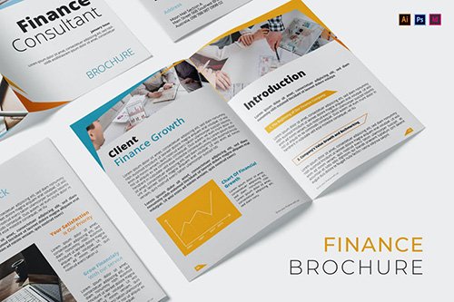 Finance Concultant Brochure