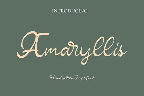 Amaryllis Script