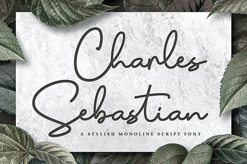 Charles Sebastian - Monoline Script Font