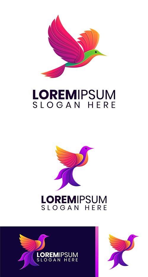 Colorful flying bird logo template