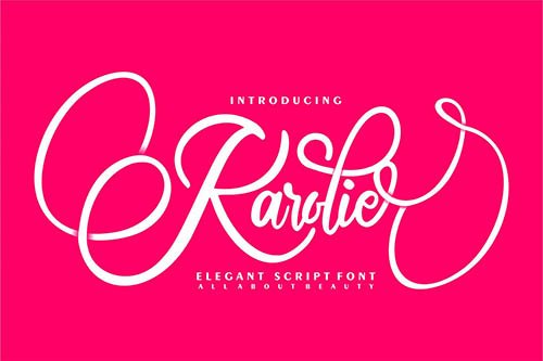 Karolie | Elegant Script Font