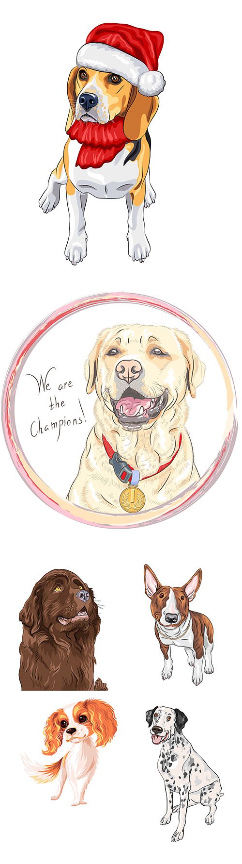 Color sketch dog illustrations