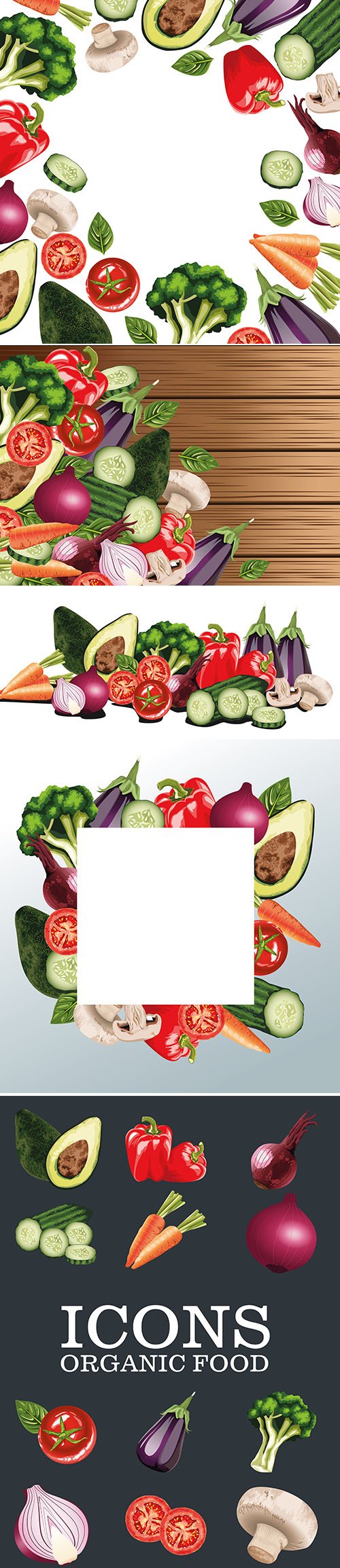 Set of fresh vegetables salad vector illustrations