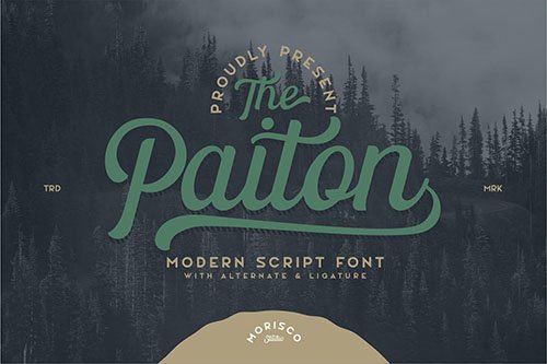 The Paiton - Modern Script Font